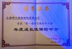 熱烈祝賀長(zhǎng)亮科技參股企業(yè)明大保險(xiǎn)榮登“2019保險(xiǎn)中介榜”